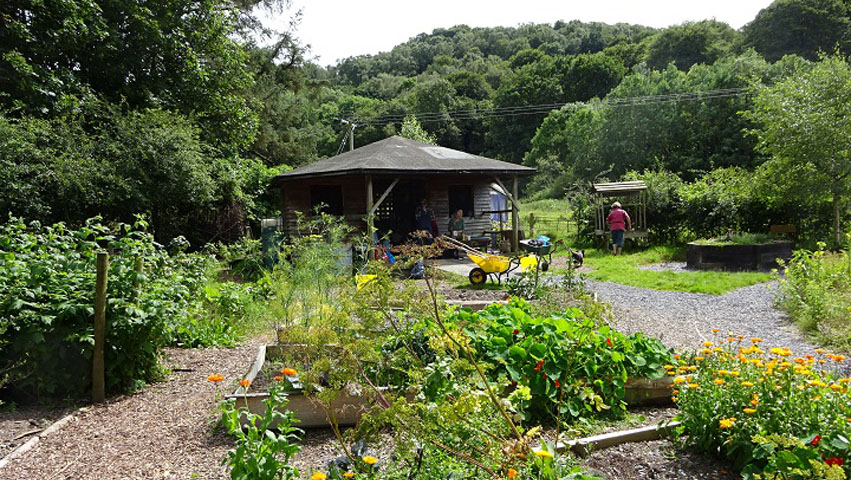 Community garden Powys